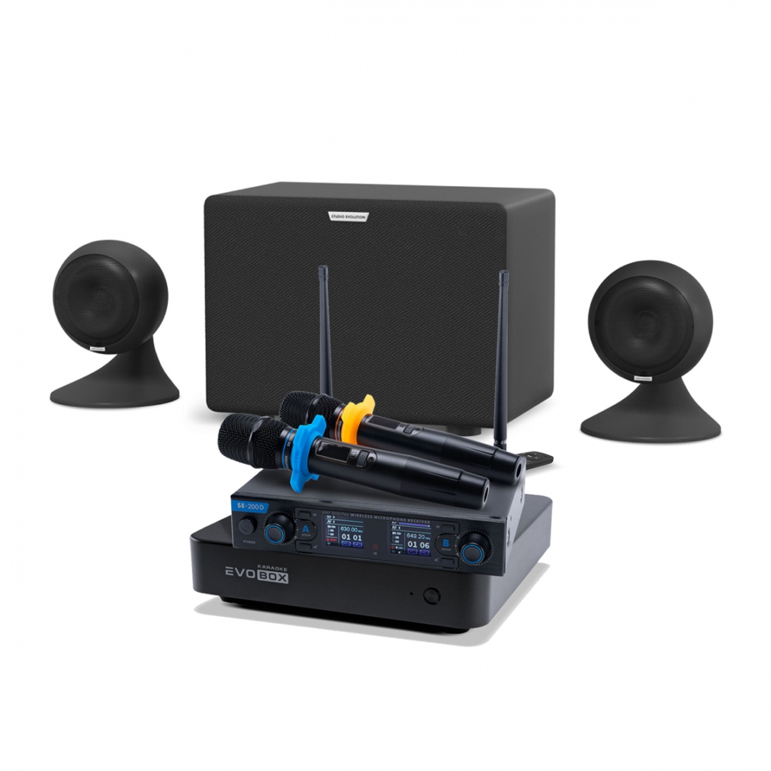 караоке-комплект EVOBOX + EvoSound Sphere 2.1 в Суворове