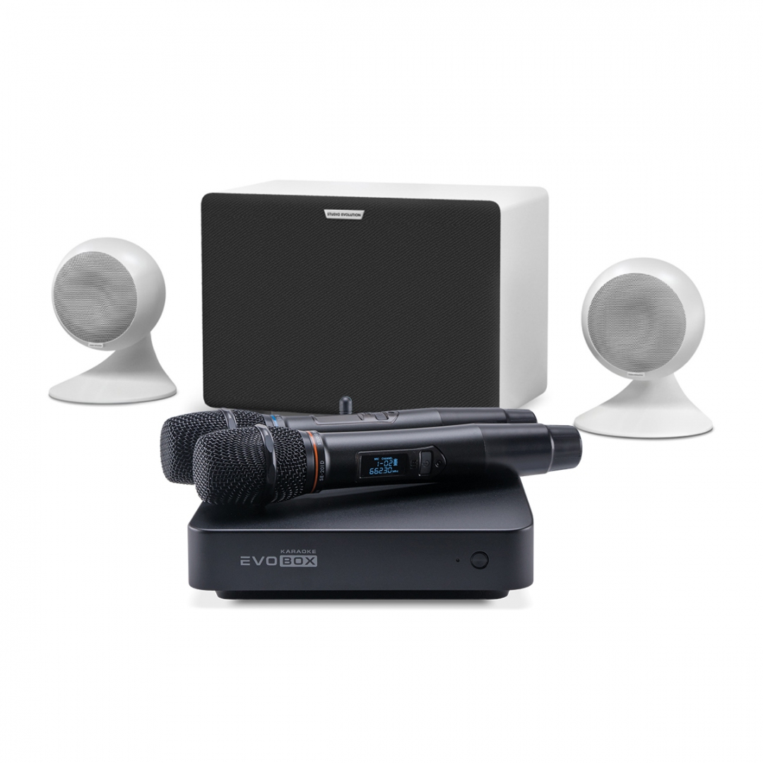 караоке-комплект EVOBOX Classic + EvoSound Sphere 2.1 в Суворове