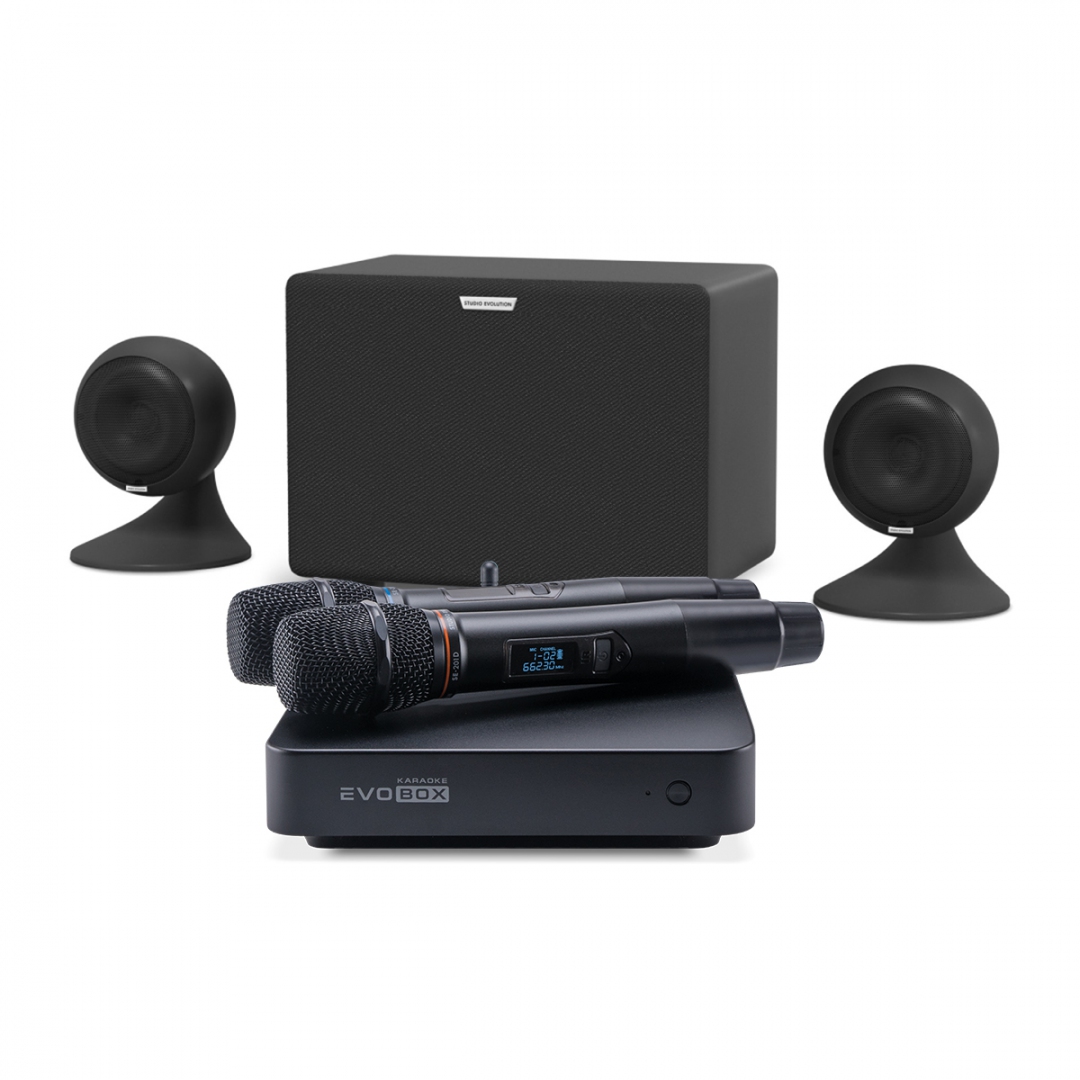 караоке-комплект EVOBOX Plus + EvoSound Sphere 2.1 в Суворове