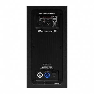 Активная акустическая система AST-310A в Суворове